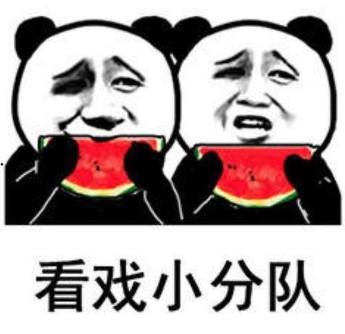 娱乐吃瓜了的视频