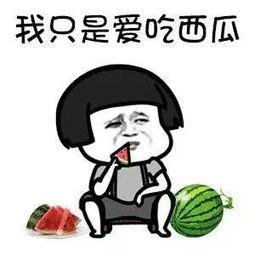 娱乐吃瓜名字叫什么,一场全民参与的狂欢盛宴