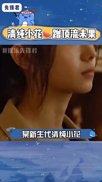 娱乐吃瓜顶流,揭秘吃瓜顶流的幕后故事